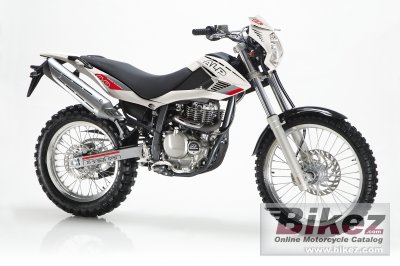 2008 Beta Alp 4.0 photo